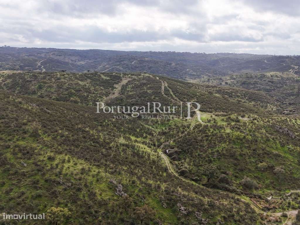 Herdade de Caça Maior com 1000 Hectares + 4 Apartamentos + Anexos-8