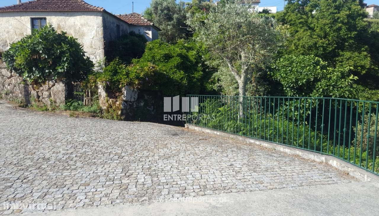 Venda de Terreno c/ 4700 m2, Espadanedo, Cinfães - Grande imagem: 3/35