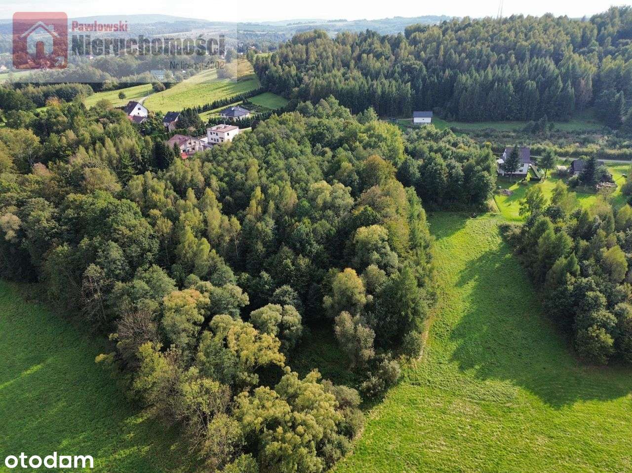 Duża działka z pięknym zadrzewieniem - Pełny obrazek: 5/17