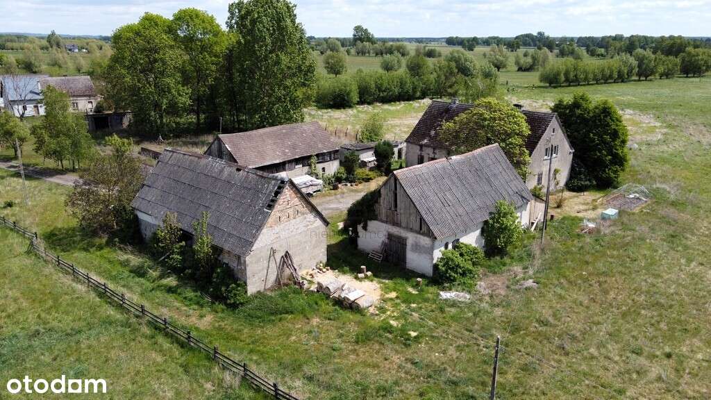 Duży przedwojenny dom jednorodzinny - Pławin-0