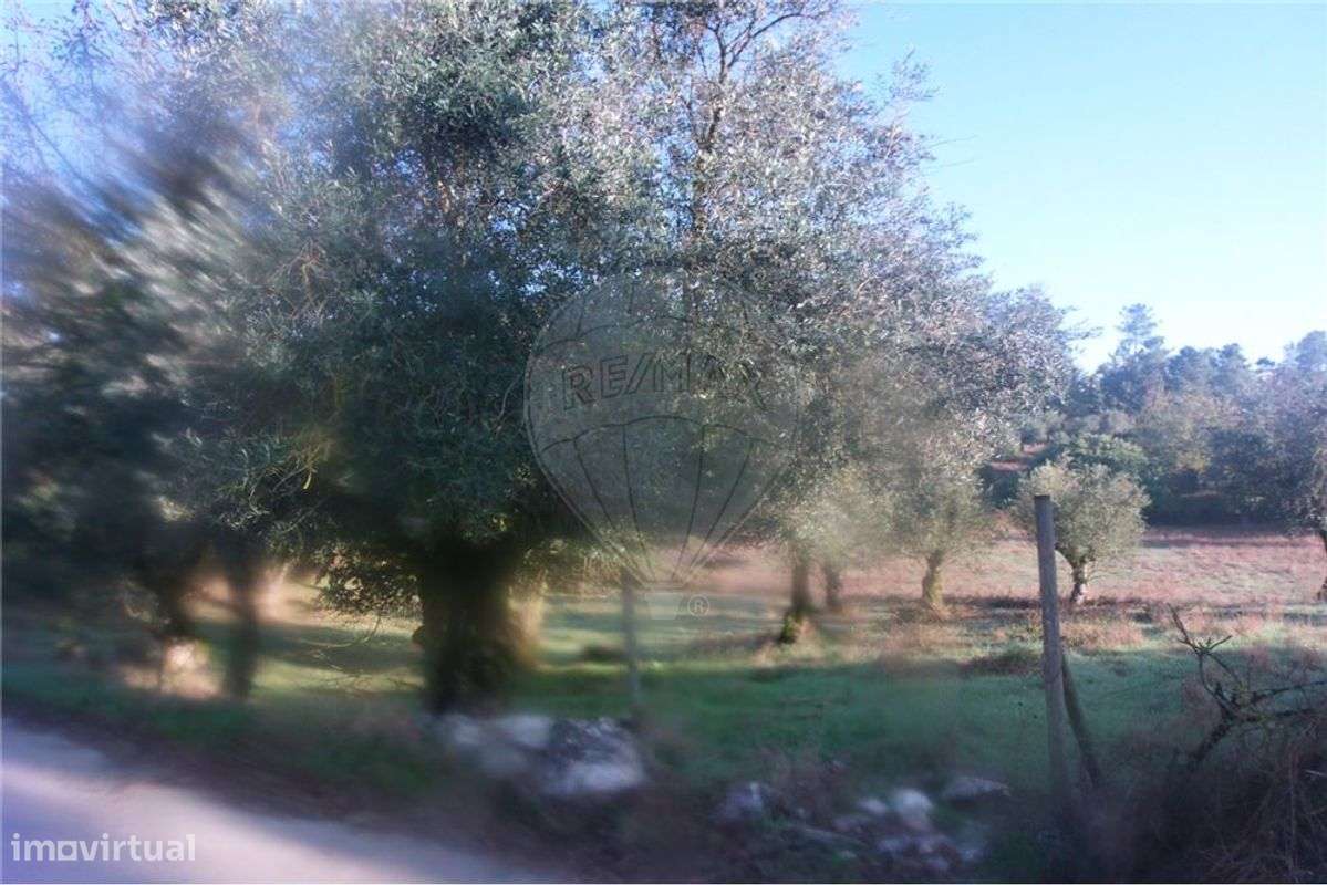 Terreno T0 para venda - Grande imagem: 4/5