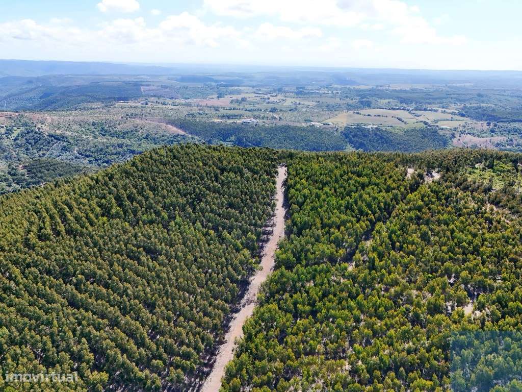Terreno em São Teotónio, Odemira-14