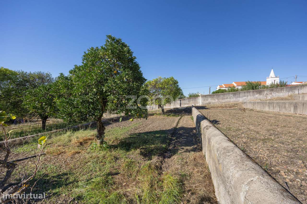 Lagar || Montalvo, Constância-23