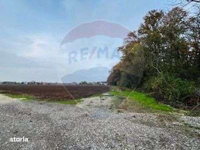 Teren Vladiceasca / Soseaua Vladiceasca 1109 mp Liziera Padurii-2