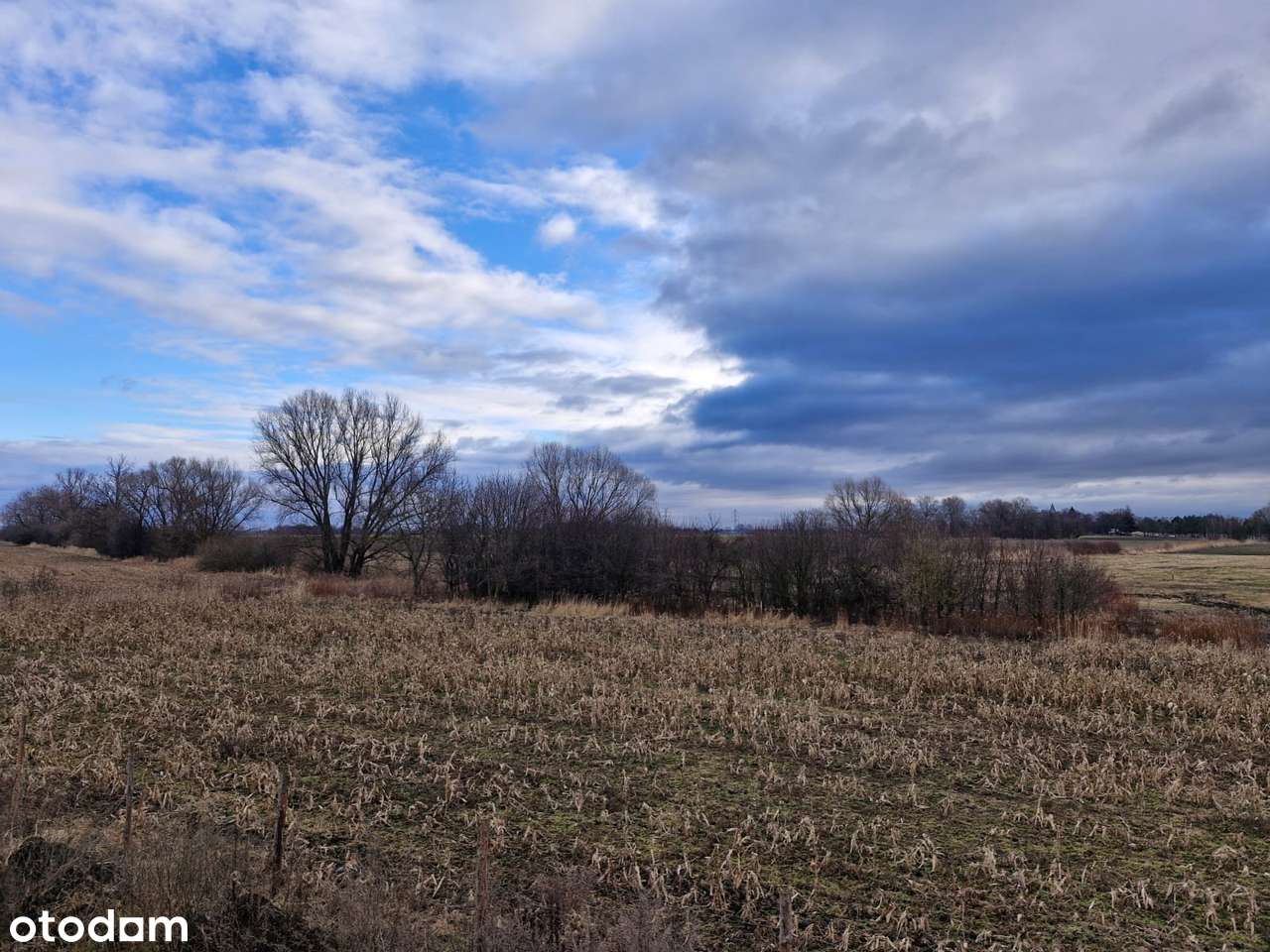3 pokoje, 2 miejsca postojowe, ogródek-0