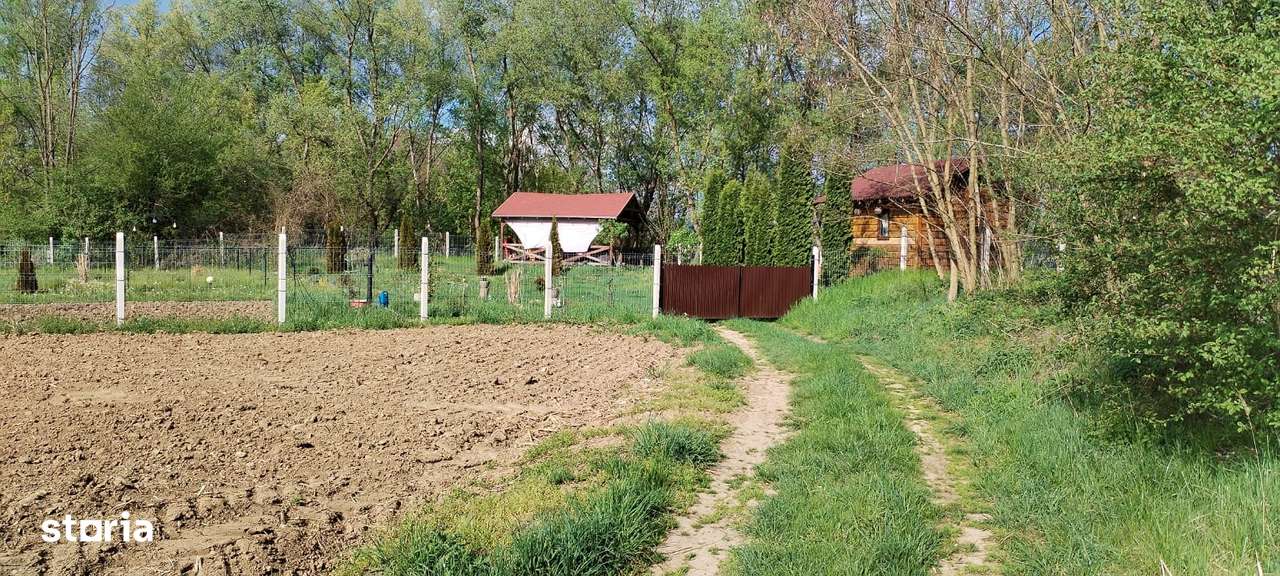 Teren Barcea Mica - Imagine principală: 3/5