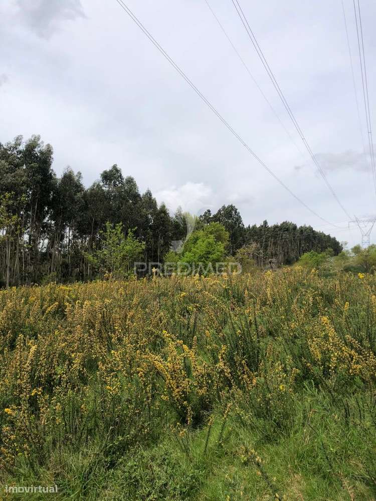 Terreno Rústico - Grande imagem: 5/9