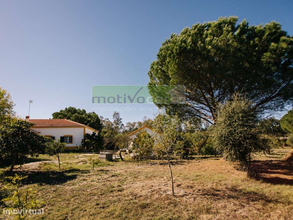 Moradia Térrea T4 em Quinta de 11.250 m² com Árvores de Fruto. Em S...-38