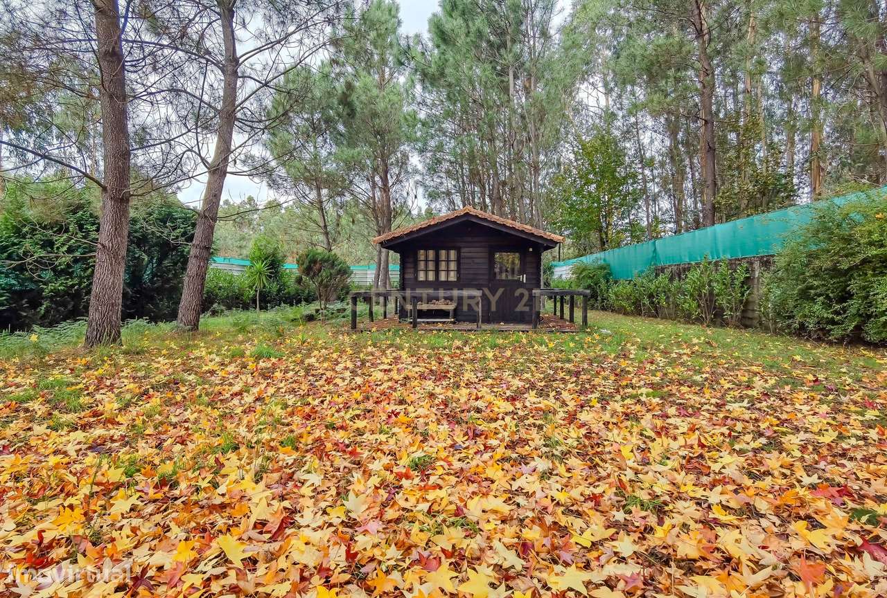 Quinta com Moradia e Piscina na Maia, Porto-16