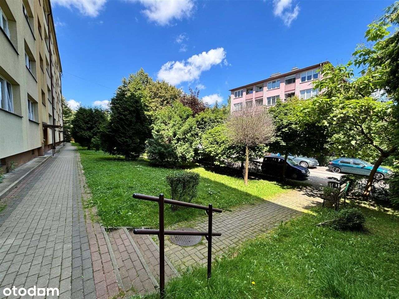 Parter z możliwościami-1