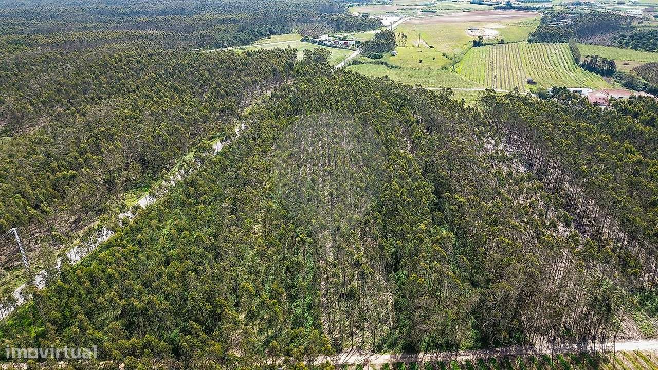 Terreno  para venda-5