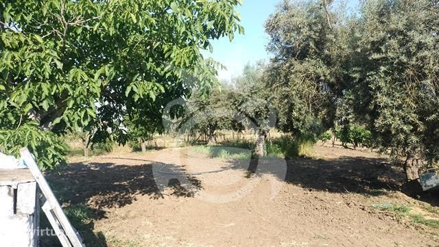 Moradia com grande quintal  - Lote 1960 m2-22