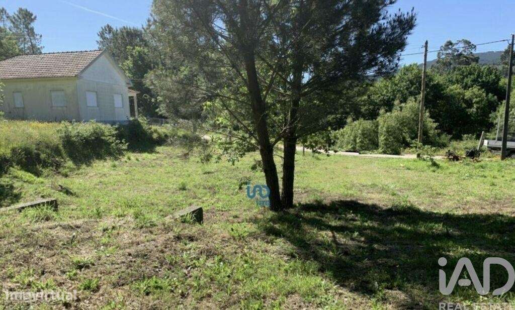 Terreno Agrícola em Covas - Grande imagem: 5/9