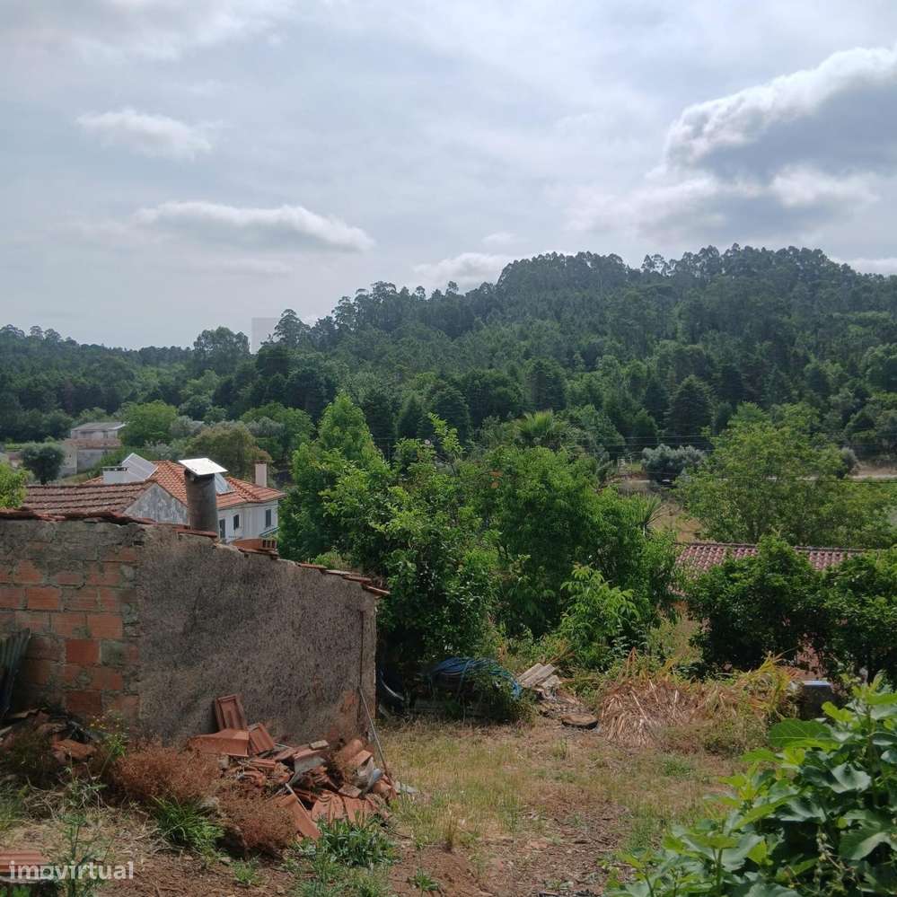 TERRENO COM VIABILIDADE DE CONSTRUÇÃO EM ASSAFARGE – COIMBRA - Grande imagem: 4/30