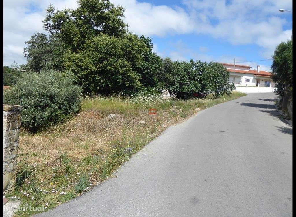 Terreno perto de Fátima - Grande imagem: 4/8