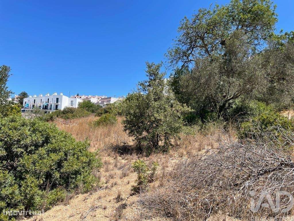 Terreno em Albufeira e Olhos de Água de 5540,00 m2 - Grande imagem: 4/14