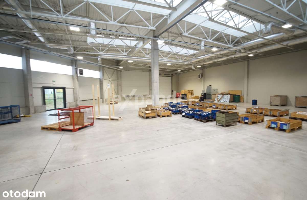 Hala z biurami na wynajem, 1500m2, Tajęcina - Pełny obrazek: 4/12