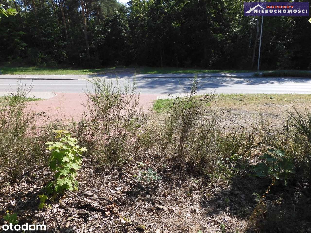 Działka na sprzedaż, Ostrowiec Świętokrzyski-6