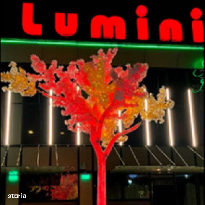 Restaurant Ballroom | Casa Luminita | 5 saloane | Pallady-13