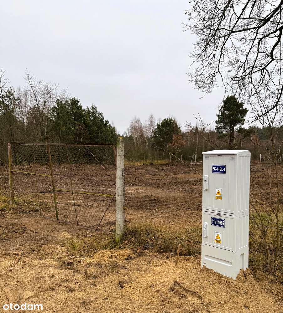 Działka z formalnie rozpoczętą budową w okolicy lasu - Pełny obrazek: 4/4