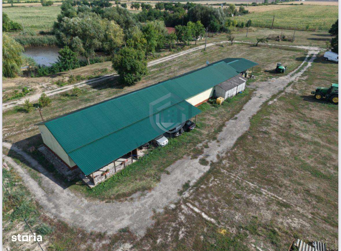 Spatiu multifunctional Salonta - Imagine principală: 5/8