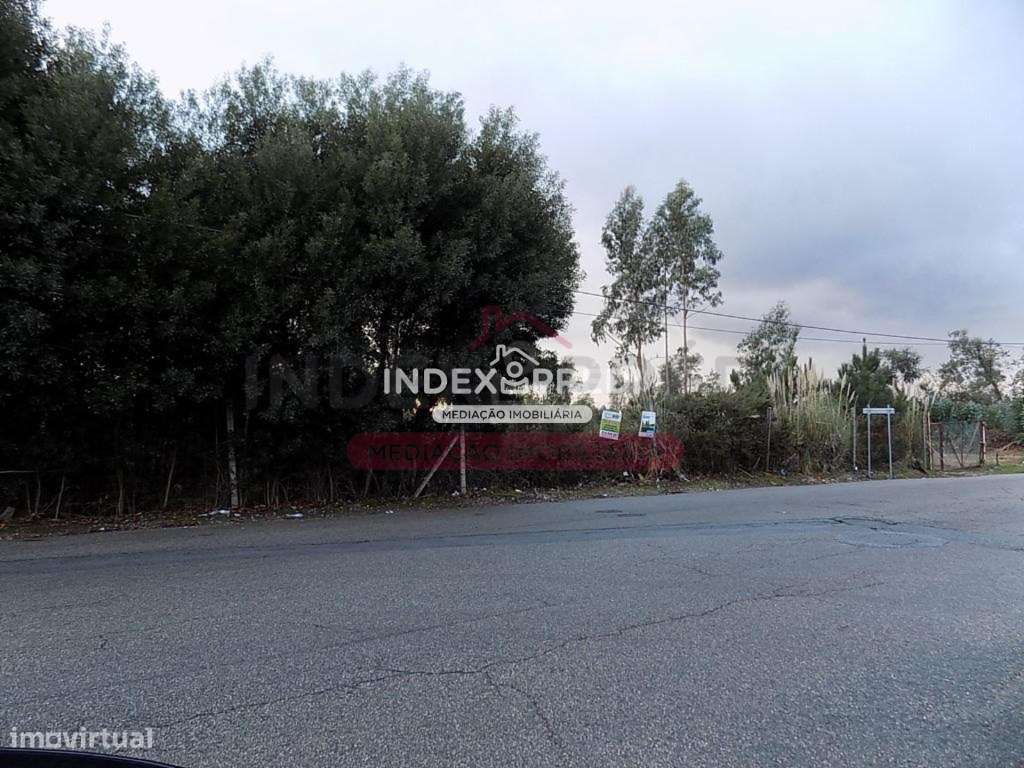 Conjunto de 2 terrenos em Rio Meão, com capacidade de edificação - Grande imagem: 5/6