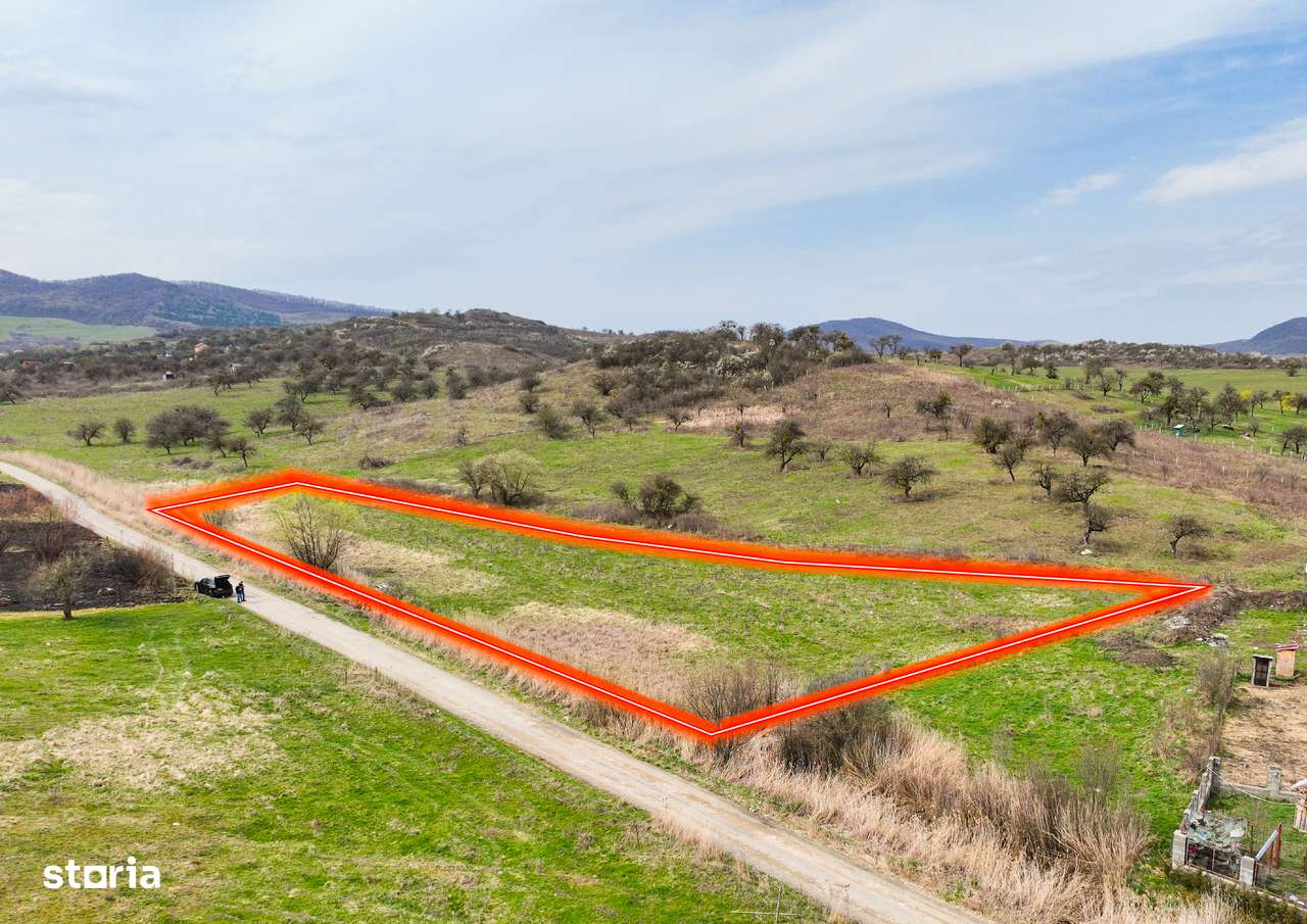 Teren parcelabil, 6.300mp, Zona Drumul Sigmirului-3