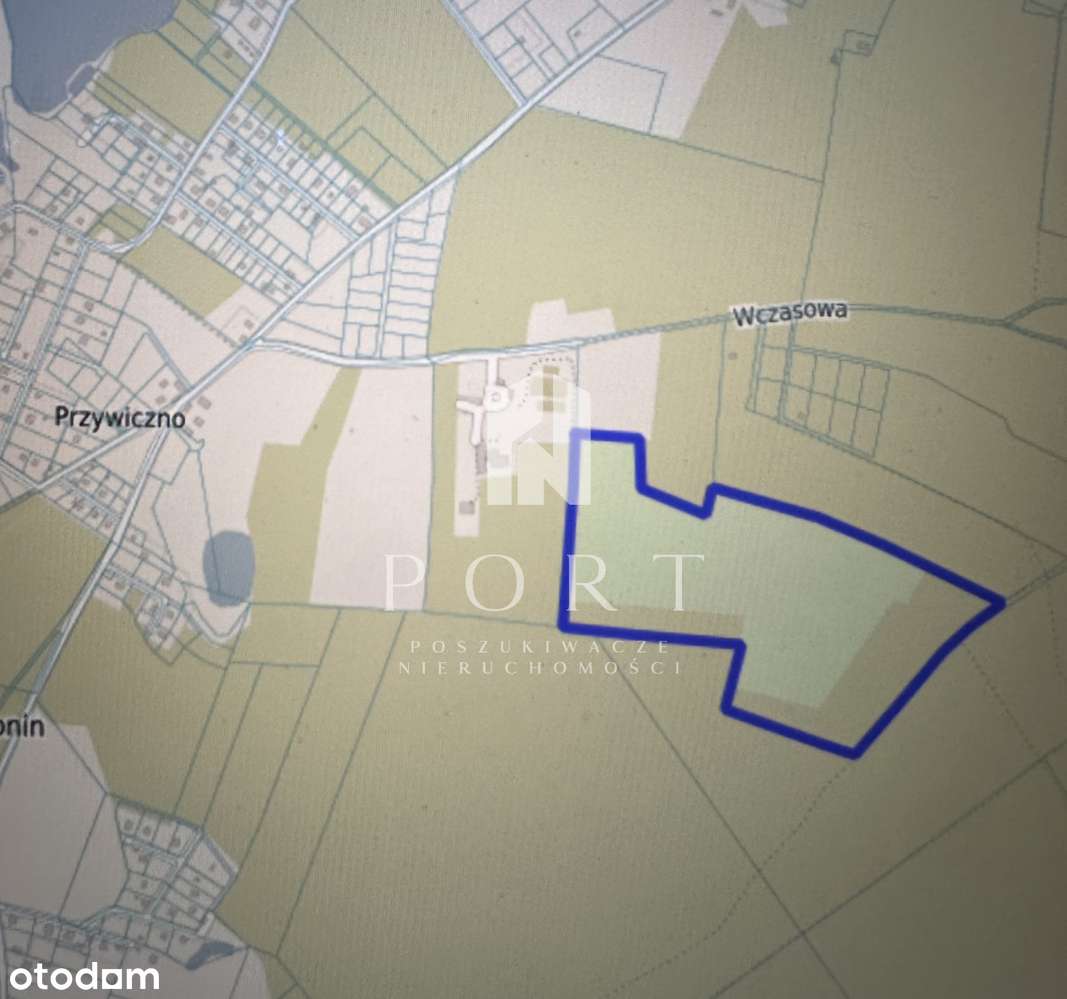 Działka leśna w pięknym miejscu na Kaszubach. - Pełny obrazek: 5/5