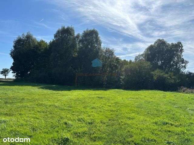 Grunt pod inwestycje Owieczki gm. Łubowo-5