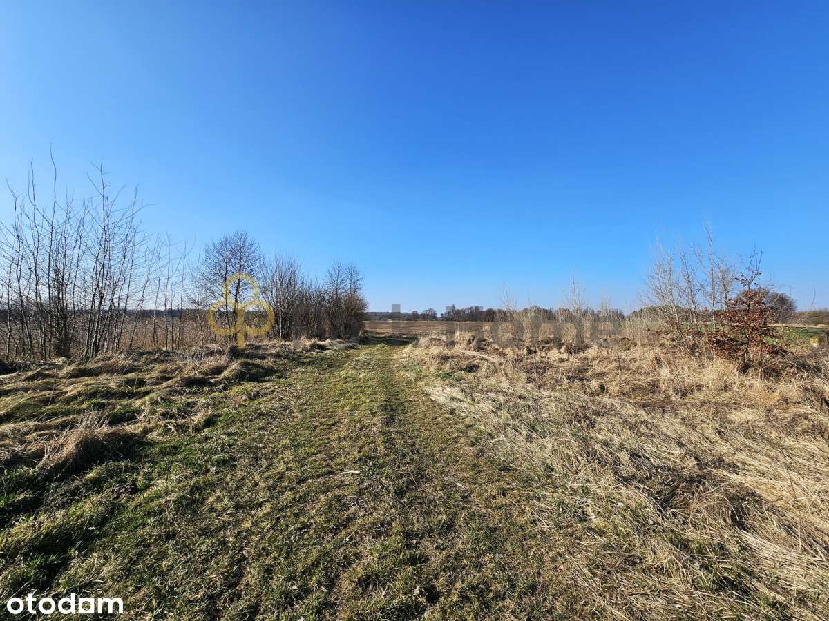 Działka pod usługi / handel / Śrem - Kawcze - Pełny obrazek: 4/9