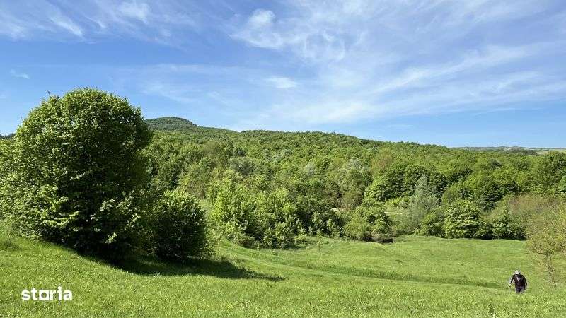 Terenuri cadastrate, de vanzare - in Dambovita, de la 5000€ - Imagine principală: 4/5