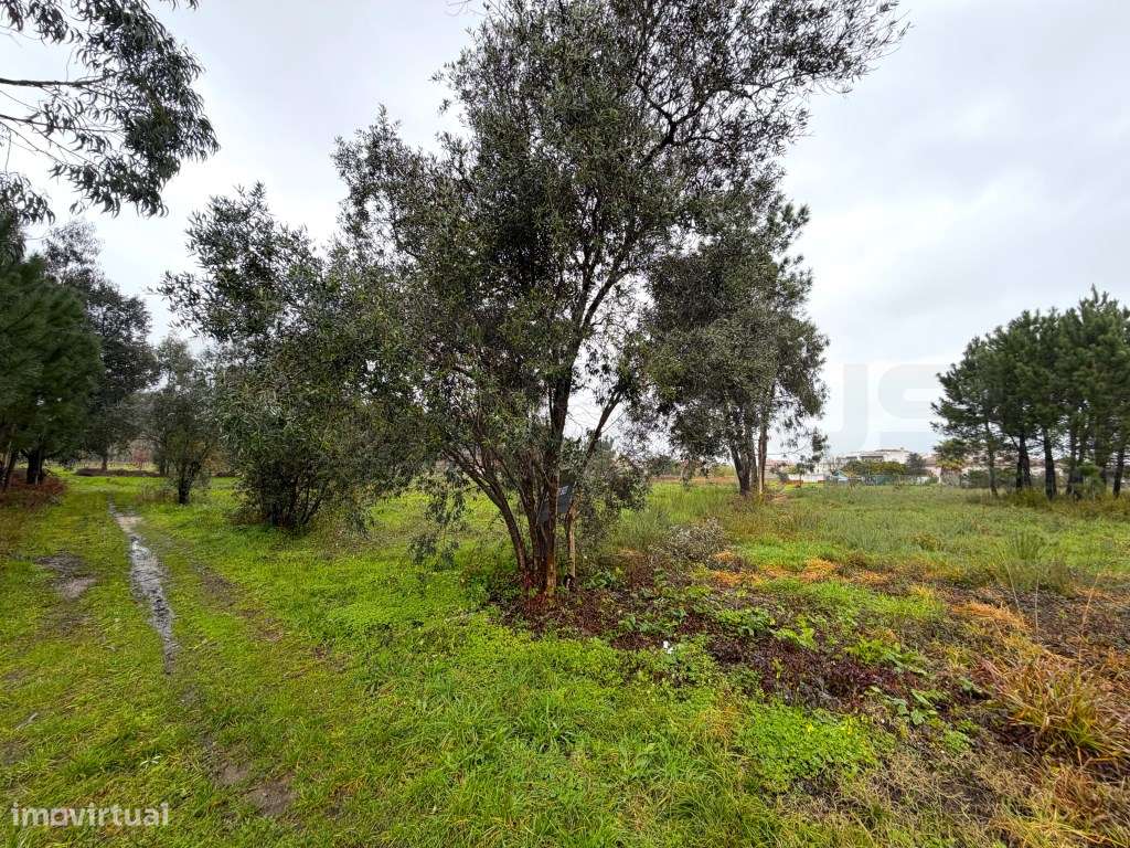 Terreno para construção de moradia - zona calma - VAGOS - Grande imagem: 2/22