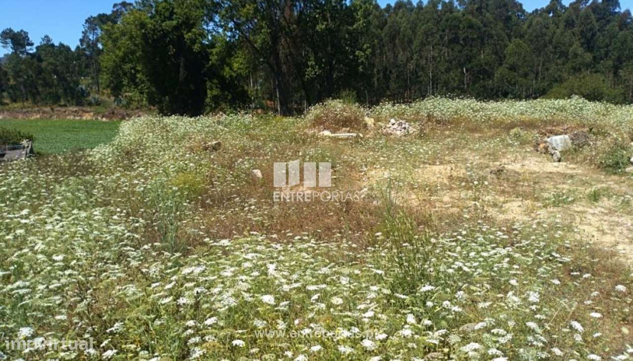 Terreno com 2400 m2, para venda, Retorta, Vila do Conde - Grande imagem: 4/12