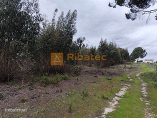 Terreno com viabilidade de construção - Grande imagem: 3/7