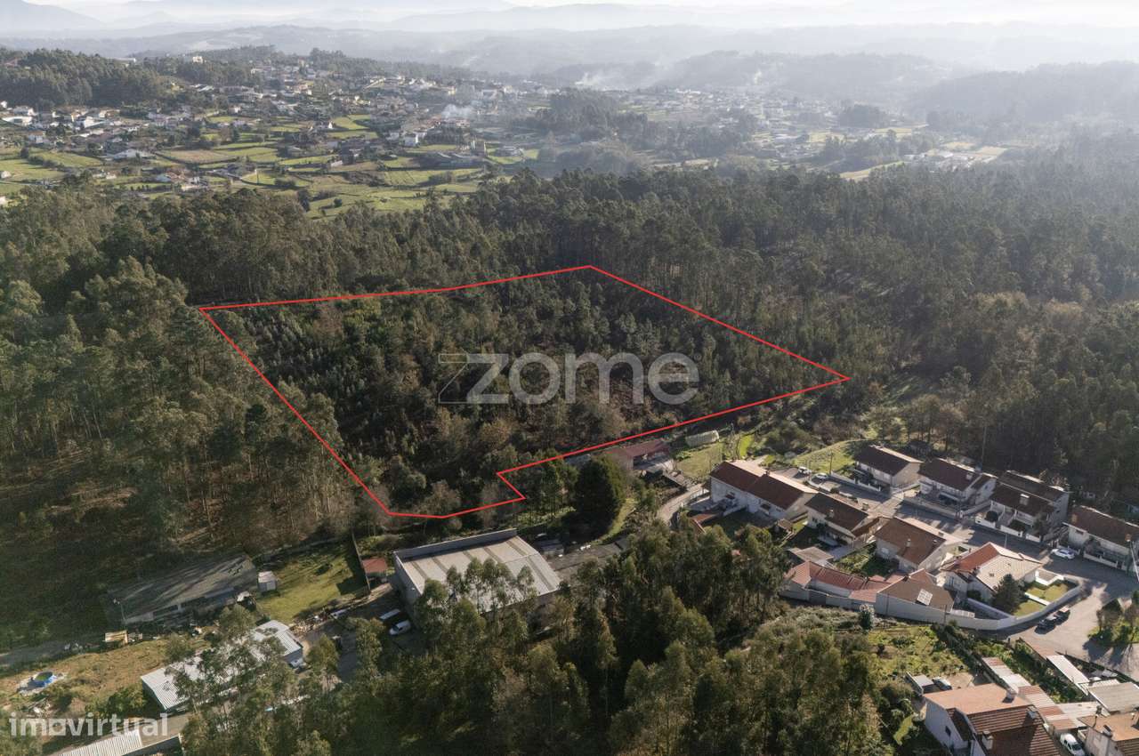 Terreno Rustico com 22500 m2, em Argoncilhe, Santa Maria da Feira - Grande imagem: 5/23