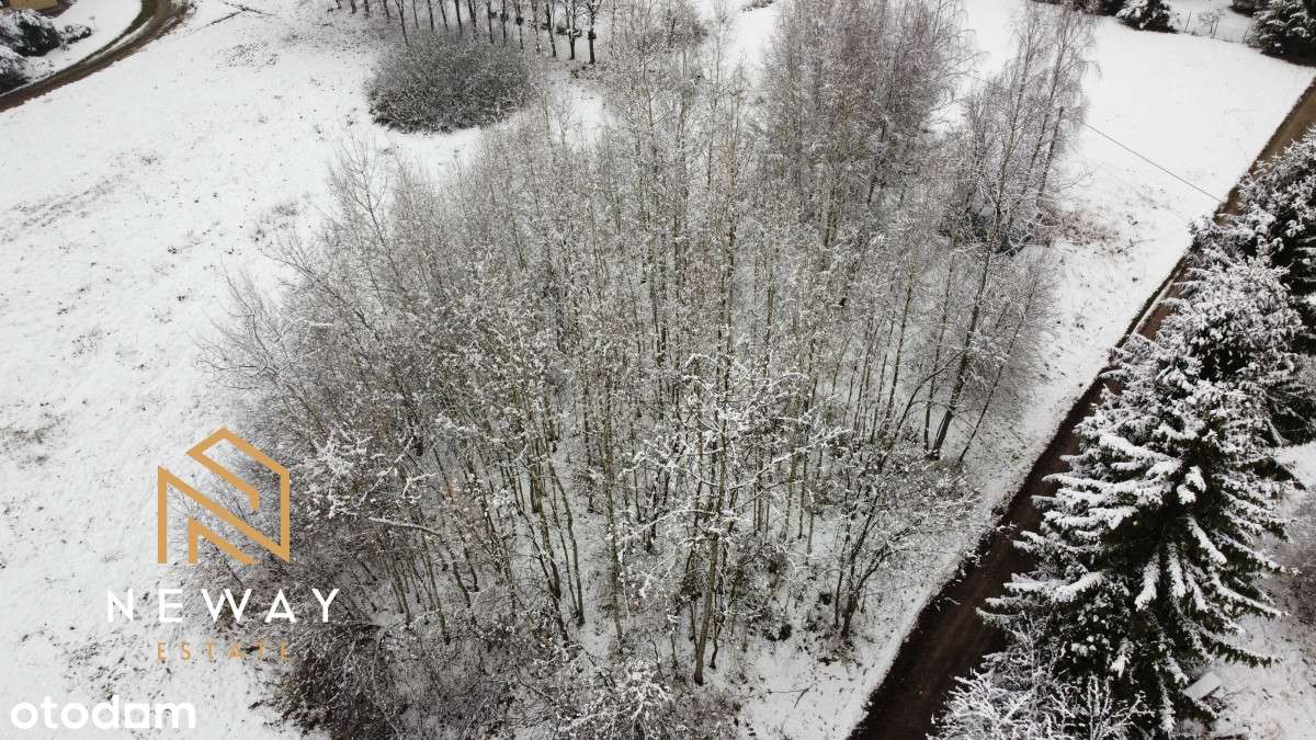 8 ar działka we Włosani - Pełny obrazek: 3/11