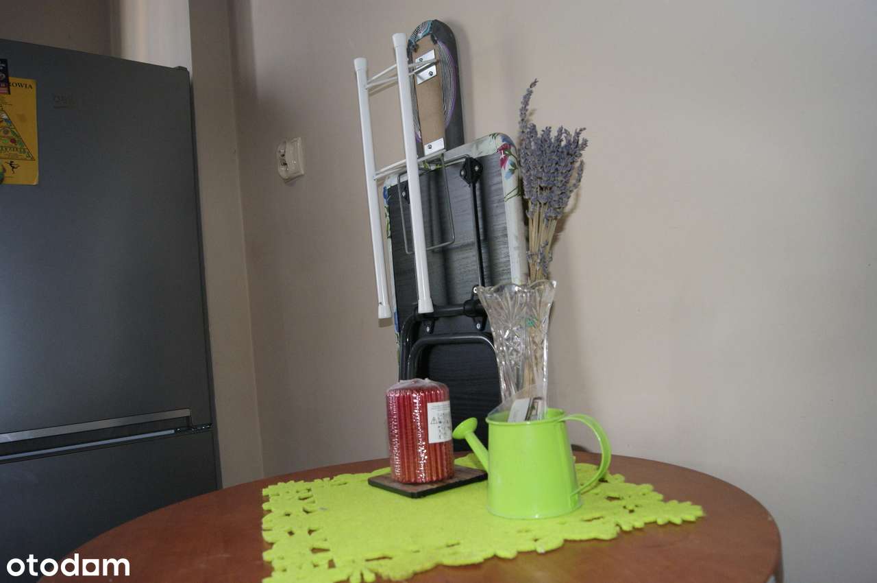 Zielony Olechów blisko planowanego Aquaparku-5