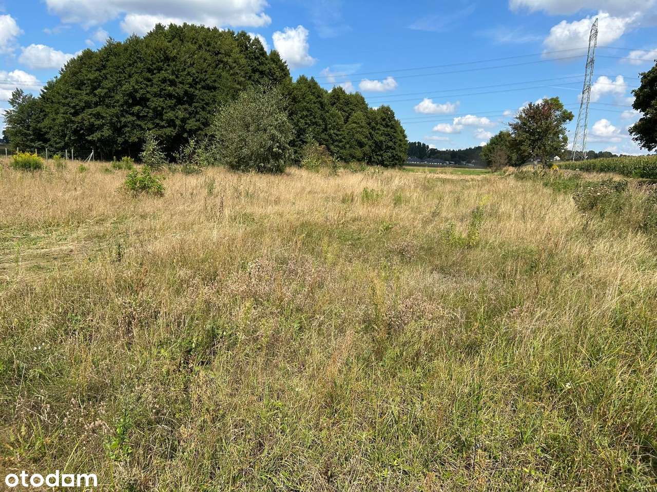 Sadowie | Działka w spokojnej okolicy 1303m2 - Pełny obrazek: 1/6