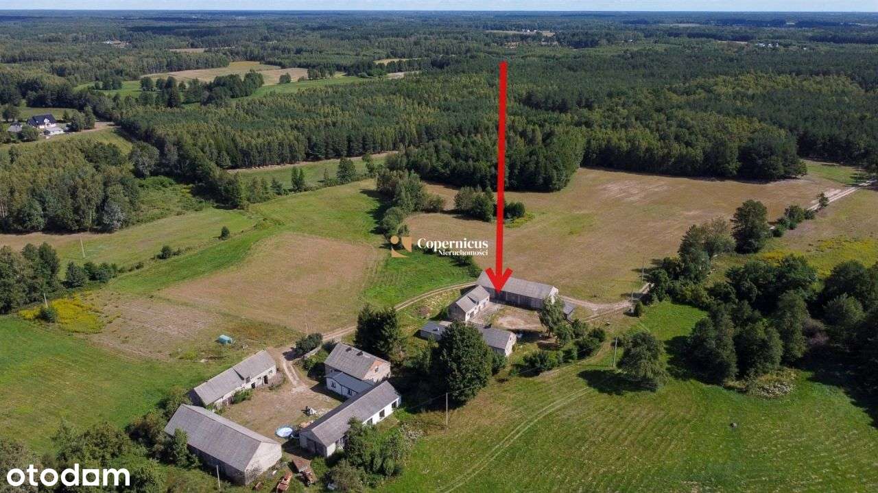 Grunt-6 ha z domem i budynkami,gm.Skępe,potencjał-7