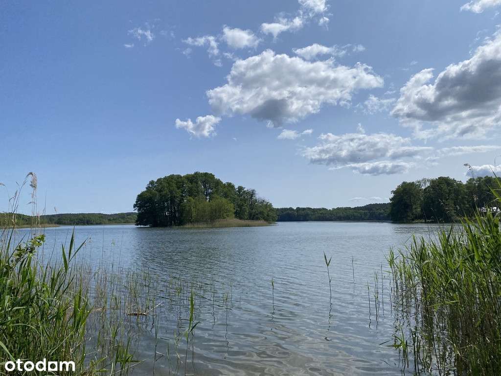 Działka na sprzedaż Przybiernów tuż przy lesie.-4