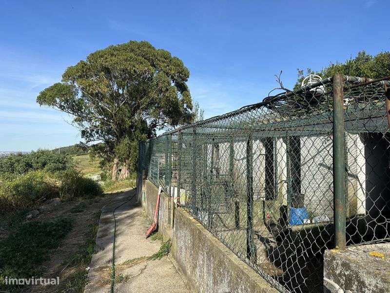 Arrendo Quinta- Cachoeiras- Vila Franca de Xira - Grande imagem: 4/4