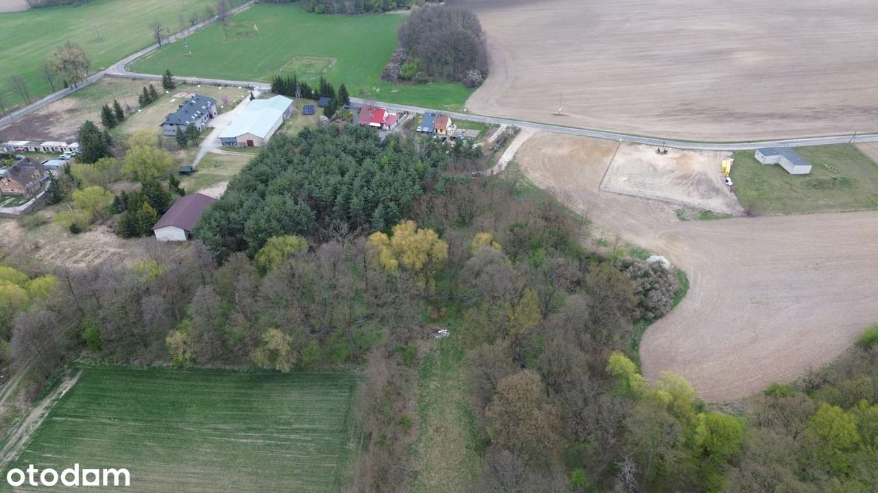 Sprzedaż nieruchomości inwestycyjnej – 3,46 ha | Grzebielin Budowlana-4