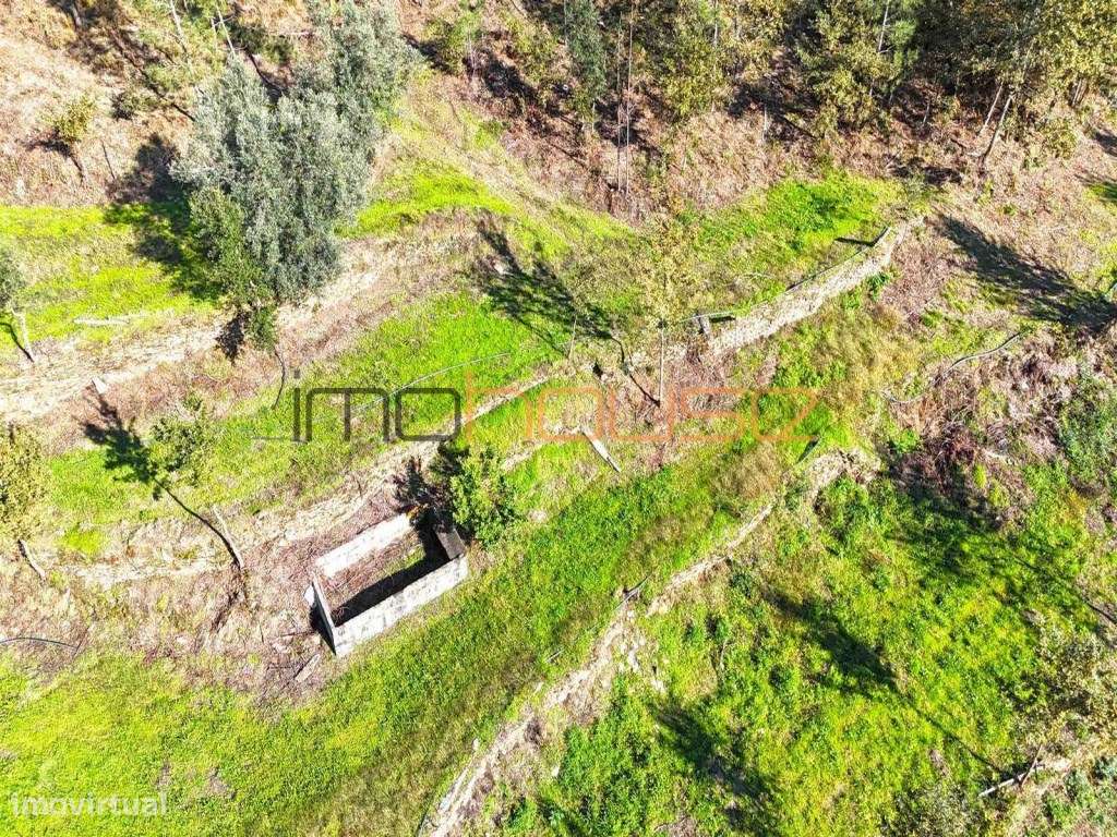 Quinta Isolada com Margem de Rio e Potencial de Eco-Retiro - Arouca-15