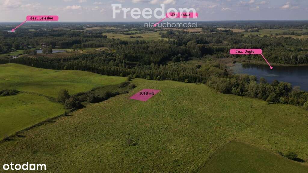 Działki na Mazurach – Elganowo, gm. Pasym, 10 ar - Pełny obrazek: 1/20