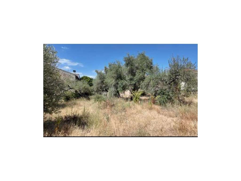 Moradia independente com 500 m2 área bruta-31