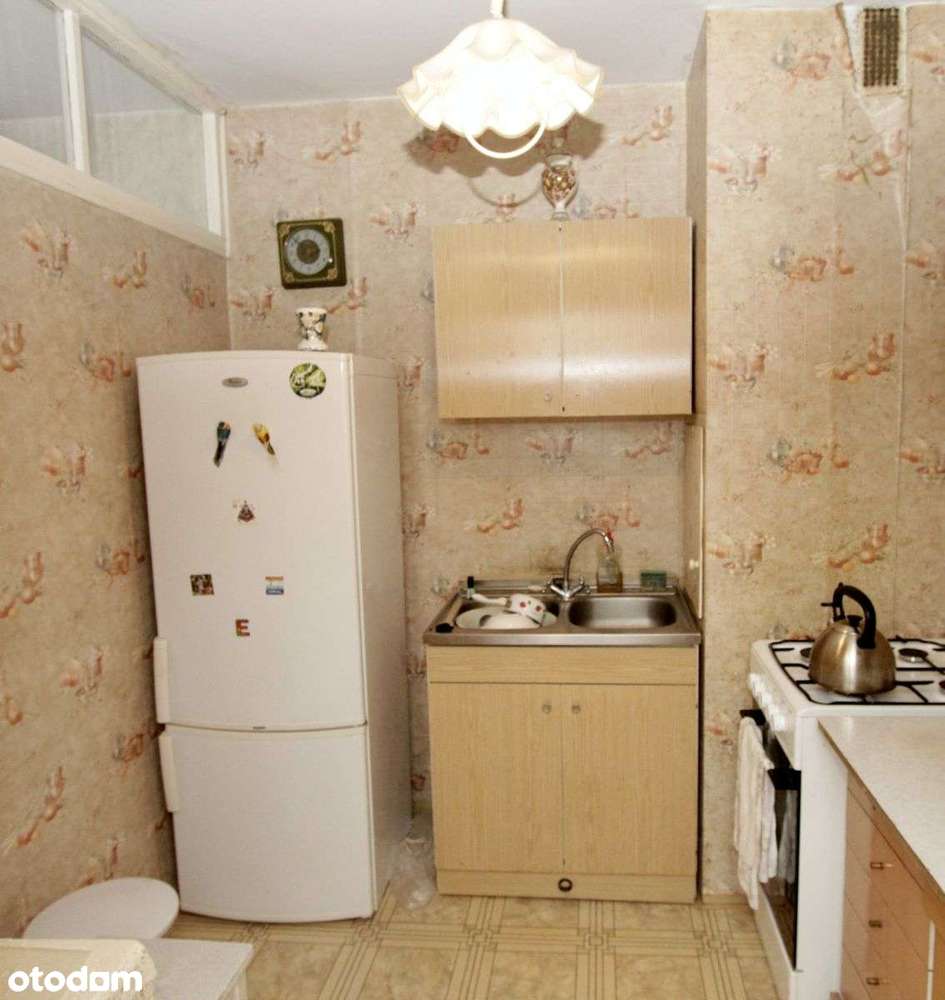 Dobre na start. - Pełny obrazek: 2/15