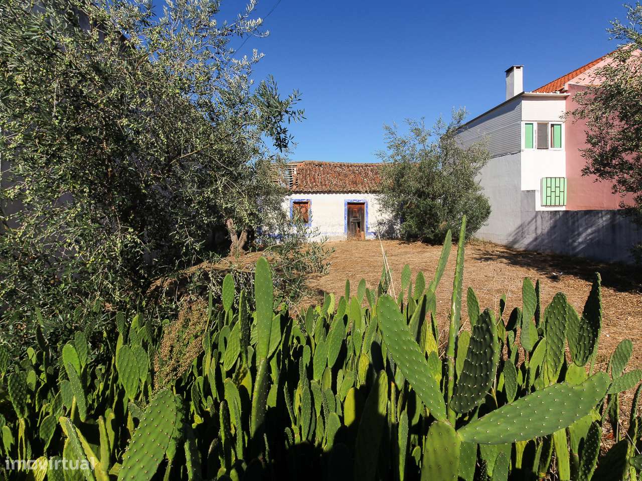 Moradia para Reconstruir na Carregueira - Grande imagem: 4/18