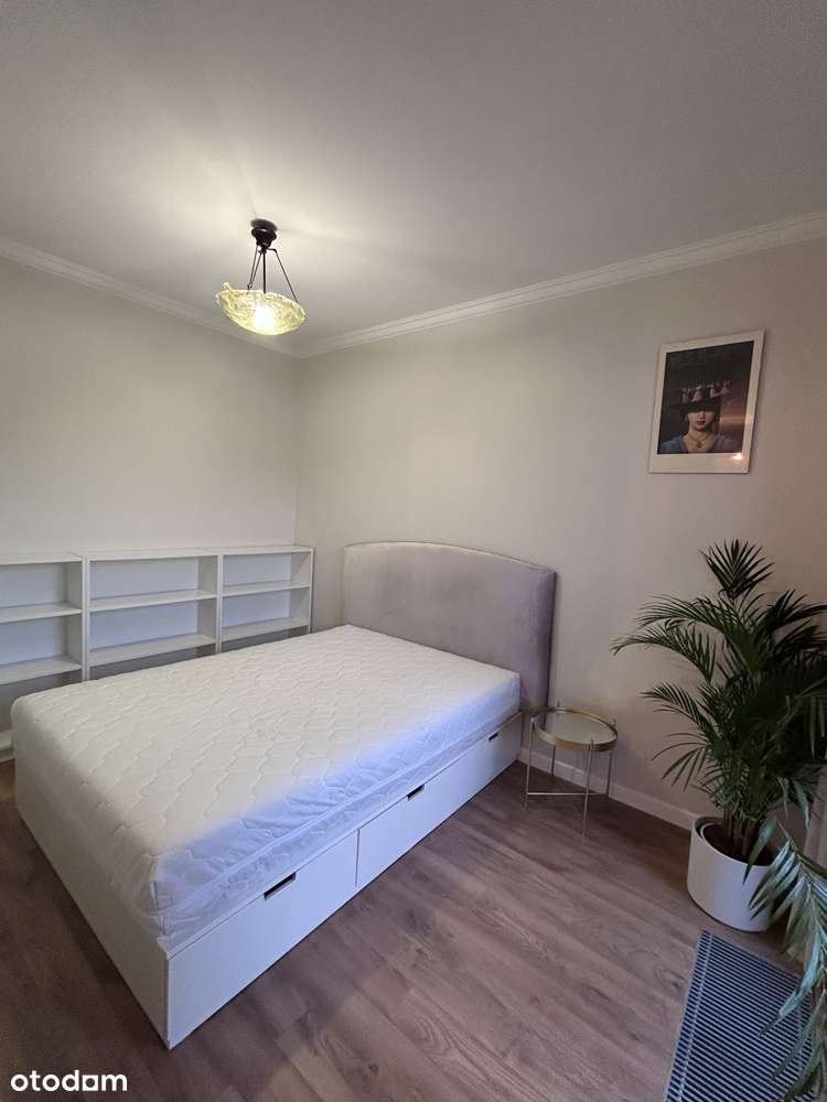 2 pokoje, top lokalizacja| Jasne, duży balkon, garderoba| Bezpośrednio - Pełny obrazek: 5/9