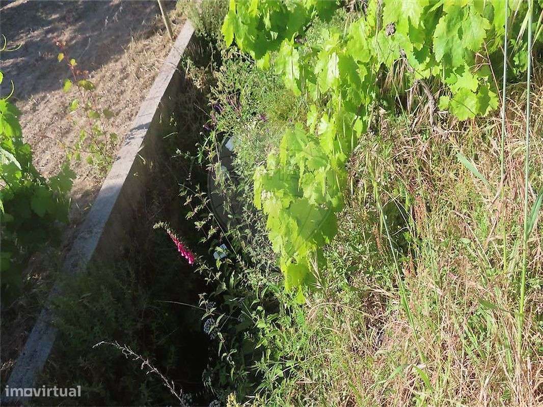 Quinta  para venda-27