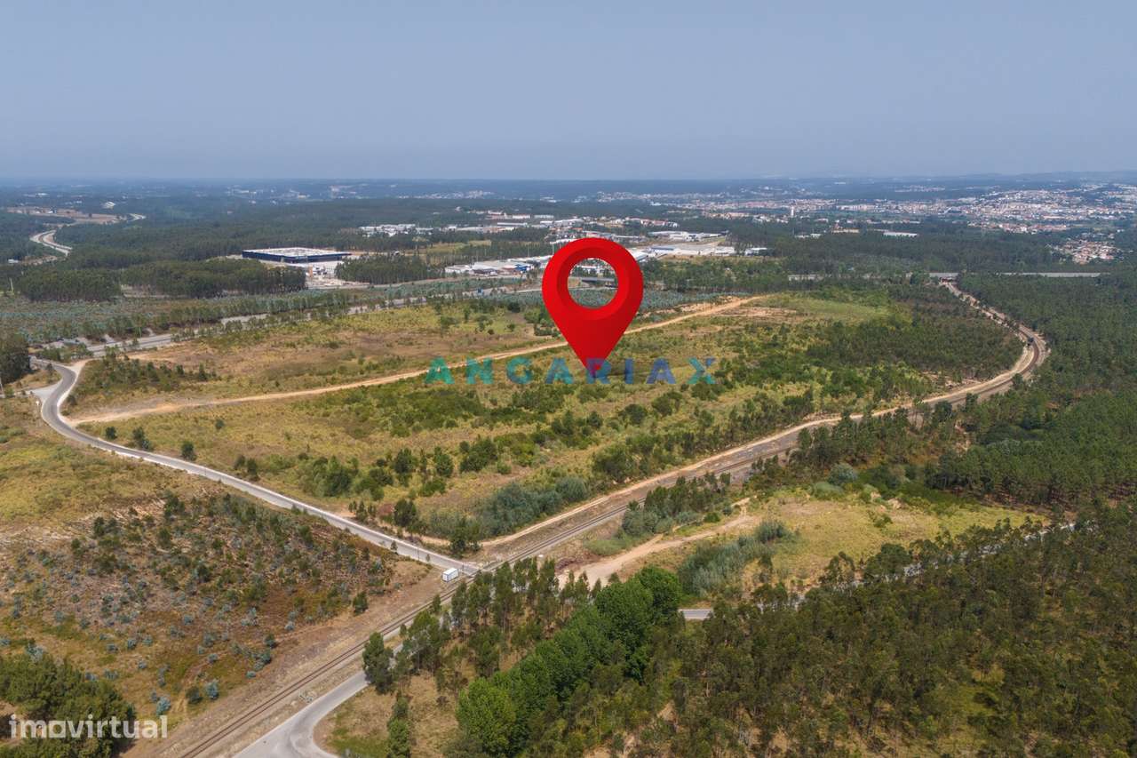 ANG380 - Terreno 42.5ha para Venda em Barosa - Grande imagem: 2/35